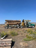 Logs by the semi load