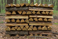Hardwood black locust firewood stack outdoors